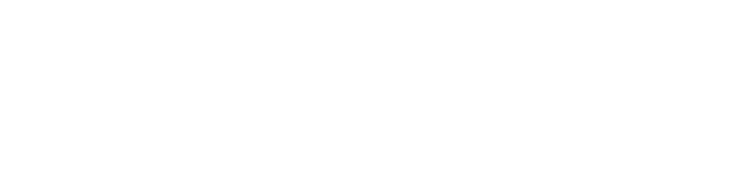Ingus Bridge Corp
